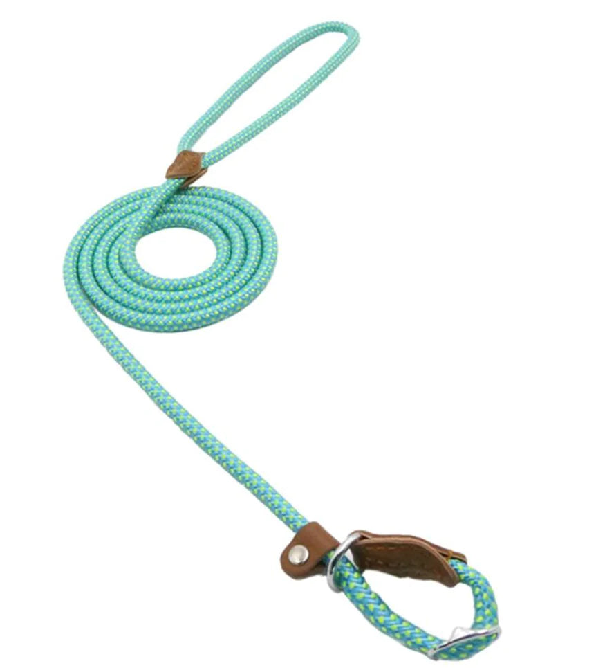 Nylon Pup Set - Fashivra