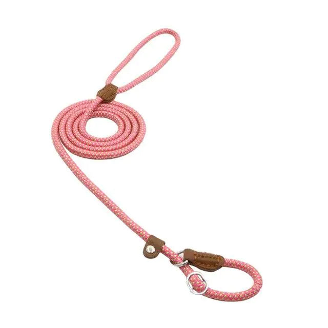 Nylon Pup Set - Fashivra