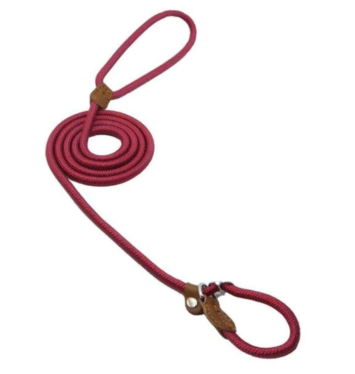 Nylon Pup Set - Fashivra